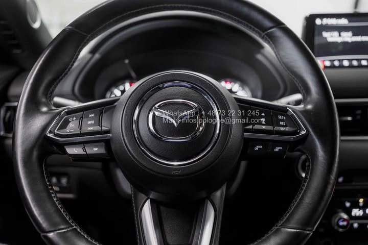 FB_IMG_1762411233319