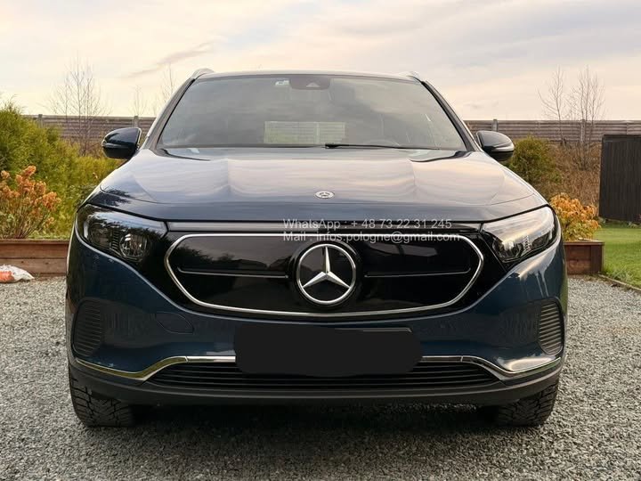 FB_IMG_1762411898415