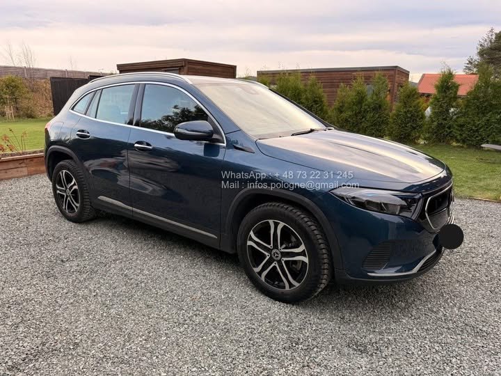 FB_IMG_1762411919919