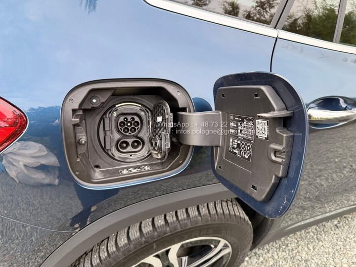 FB_IMG_1762411963883