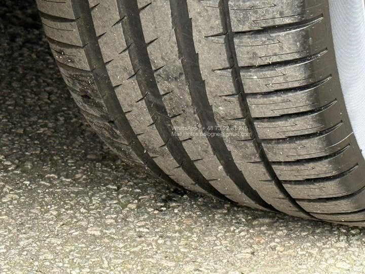 FB_IMG_1762413167469