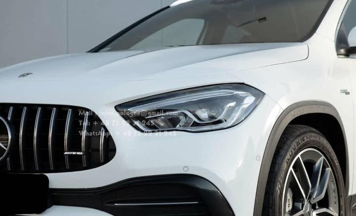 FB_IMG_1762415540870