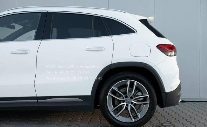 FB_IMG_1762415542826