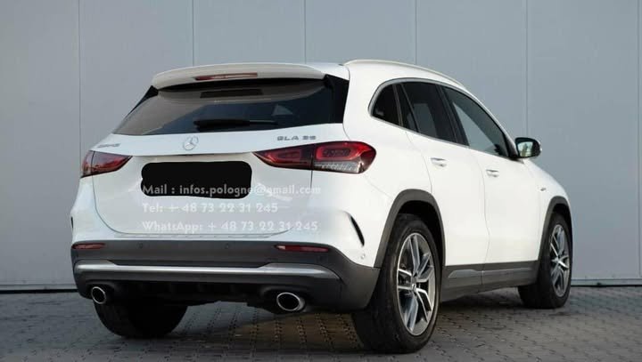 FB_IMG_1762415544749