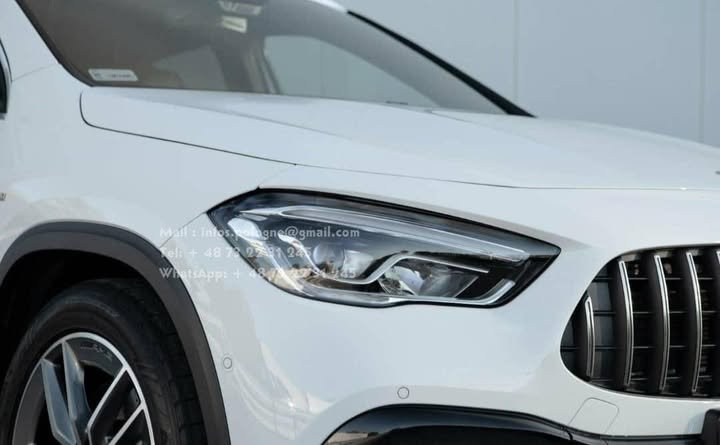 FB_IMG_1762415546775