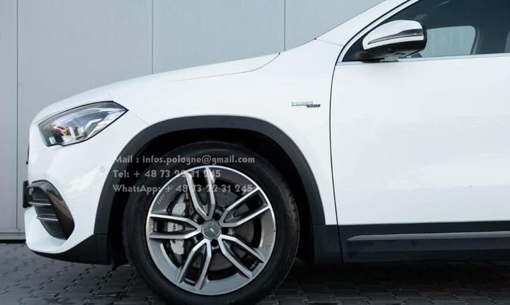 FB_IMG_1762415557340