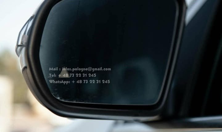 FB_IMG_1762415566655