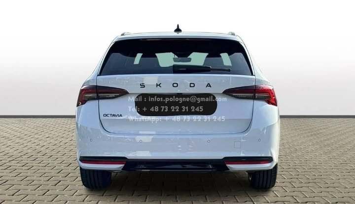 FB_IMG_1762451963893