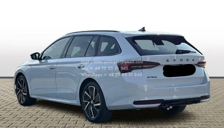 FB_IMG_1762451979414