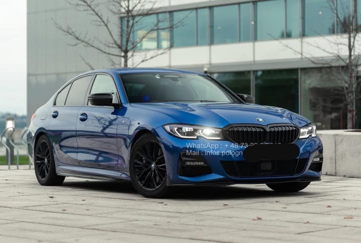 FB_IMG_1763061040694