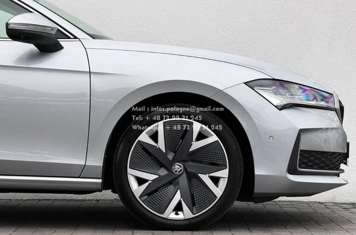 FB_IMG_1763964071587