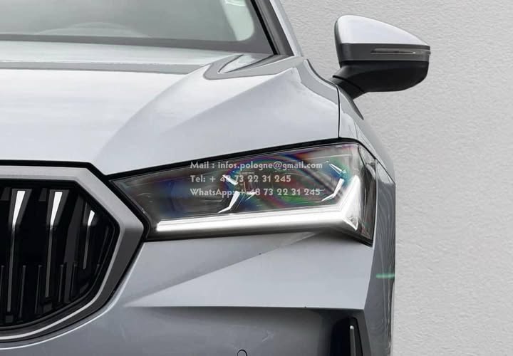 FB_IMG_1763964087057