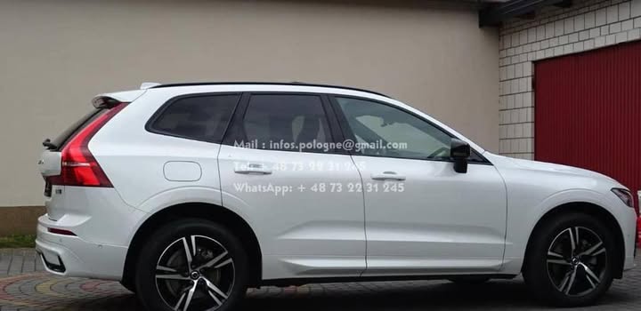 FB_IMG_1763969653274