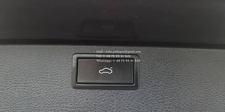 FB_IMG_1764036021221