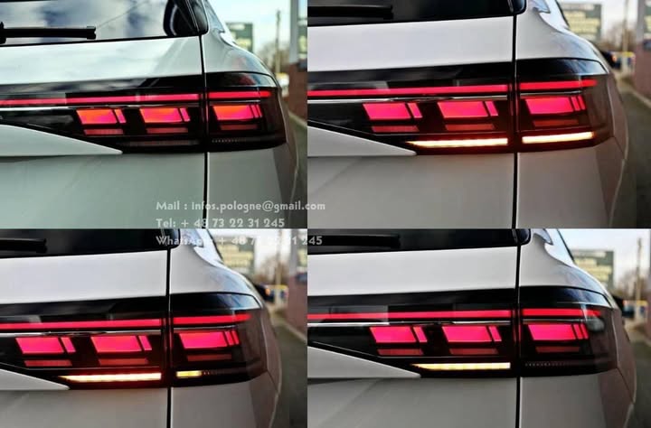 FB_IMG_1764036980344