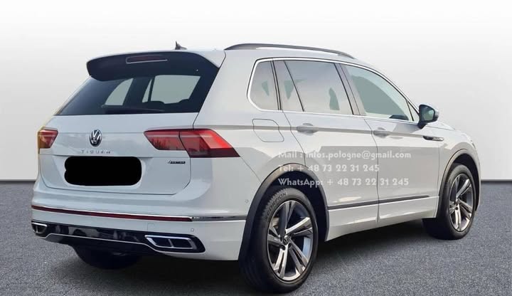 FB_IMG_1764037891559