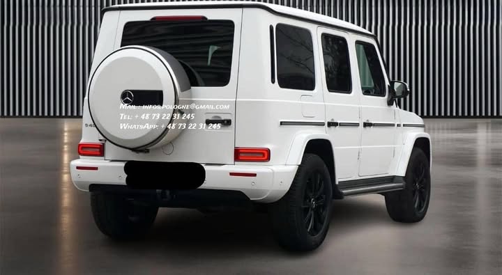 FB_IMG_1764045232712