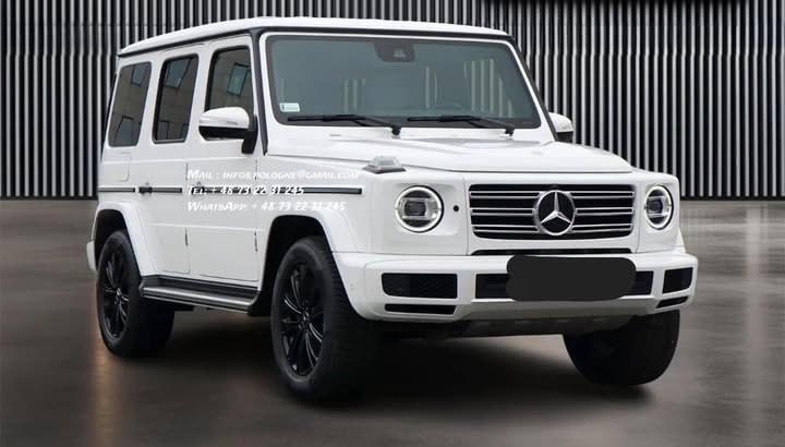 FB_IMG_1764045236489