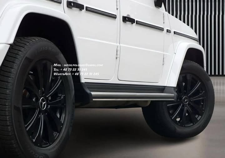 FB_IMG_1764045243634