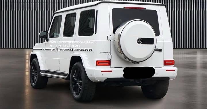 FB_IMG_1764045272416