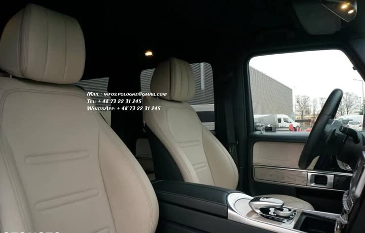 FB_IMG_1764045296342