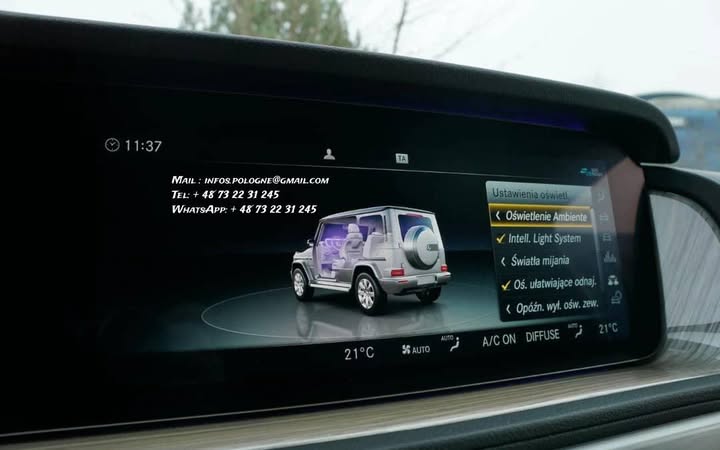 FB_IMG_1764045473796