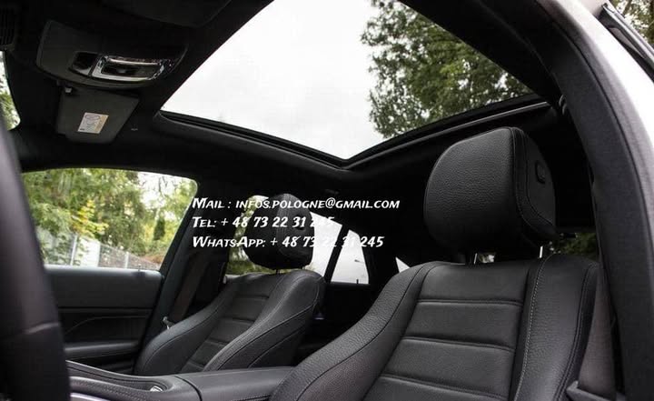 FB_IMG_1764087120387