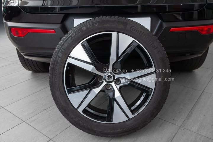 FB_IMG_1764093309172