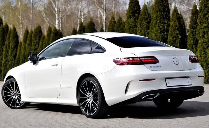 FB_IMG_1764096100503