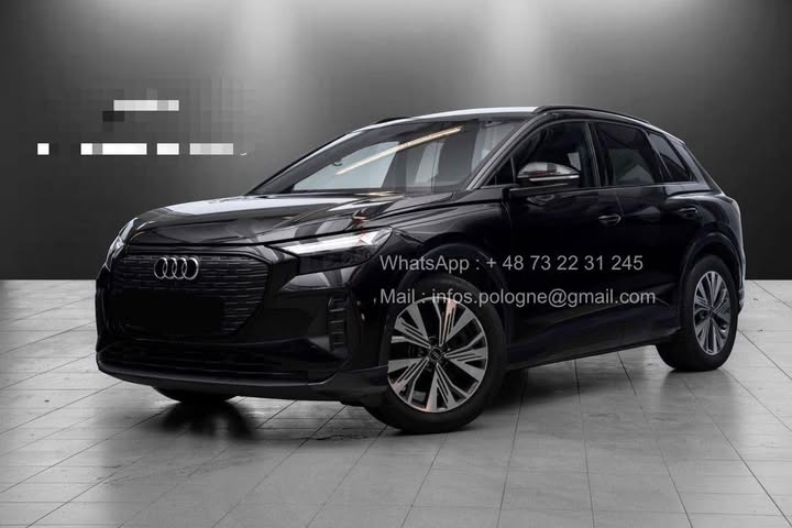 FB_IMG_1764124351779