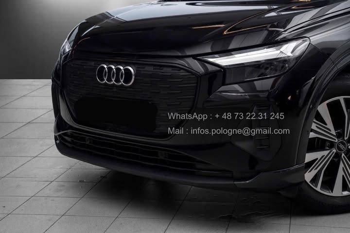 FB_IMG_1764124355574