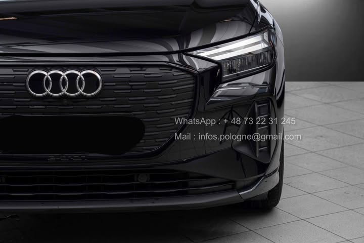 FB_IMG_1764124367982