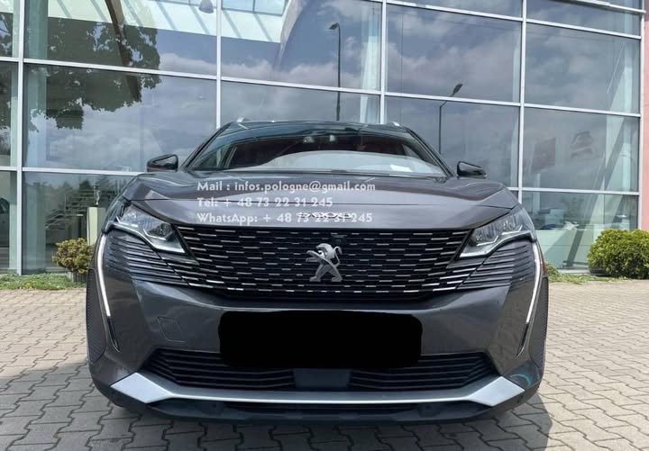 FB_IMG_1764124730795