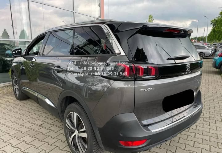 FB_IMG_1764124744502