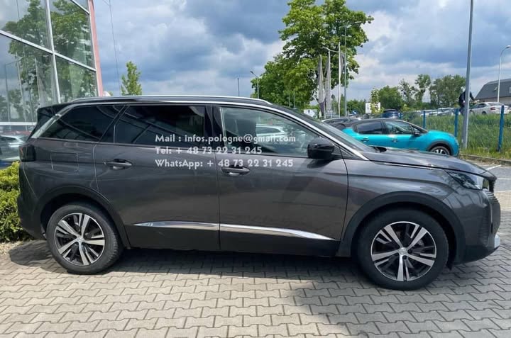 FB_IMG_1764124748346