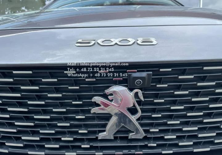 FB_IMG_1764124763582