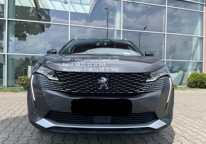 FB_IMG_1764124765621