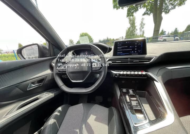 FB_IMG_1764124825067