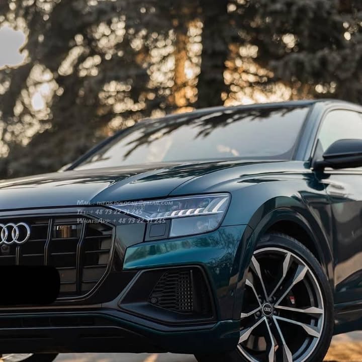 FB_IMG_1764141546998