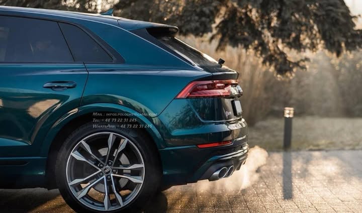 FB_IMG_1764141566035