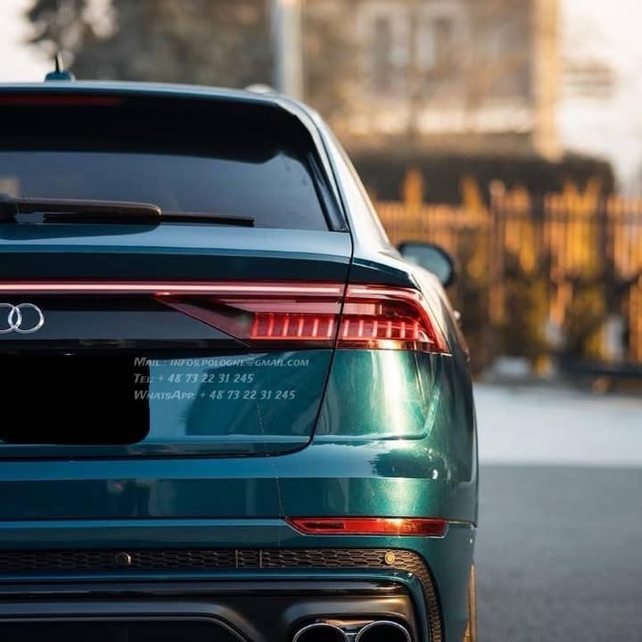 FB_IMG_1764141570141