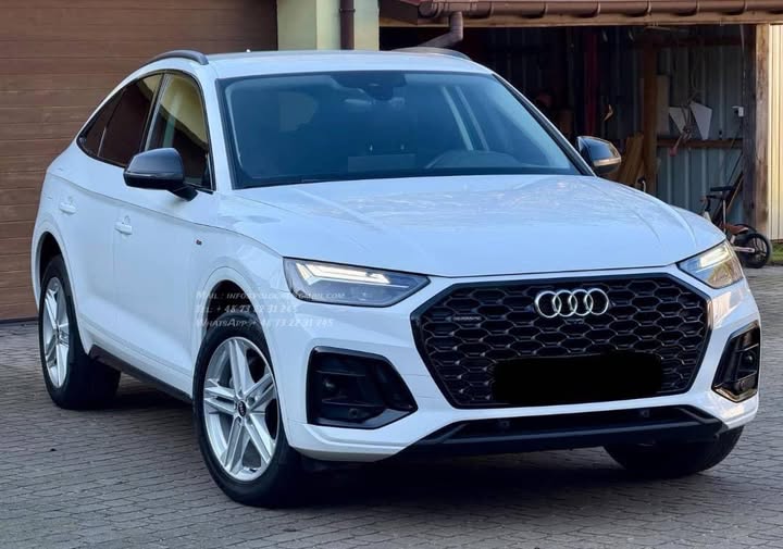 FB_IMG_1764141724163