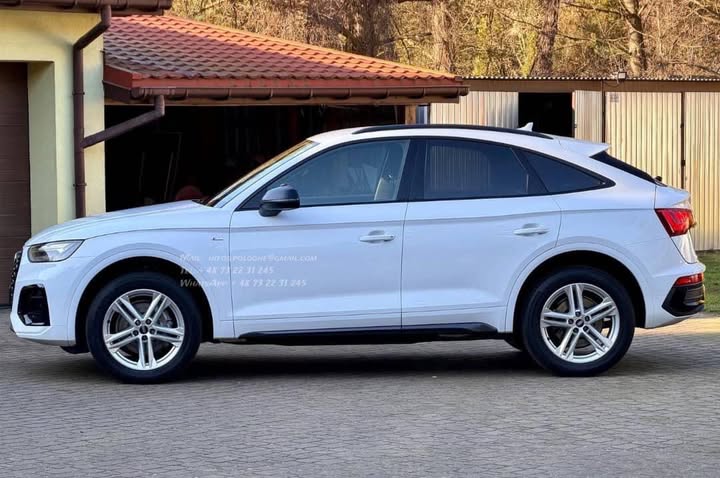 FB_IMG_1764141727186