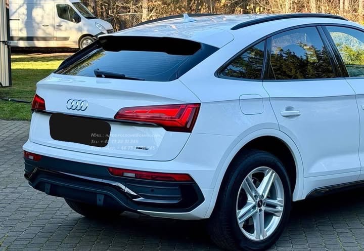 FB_IMG_1764141735097