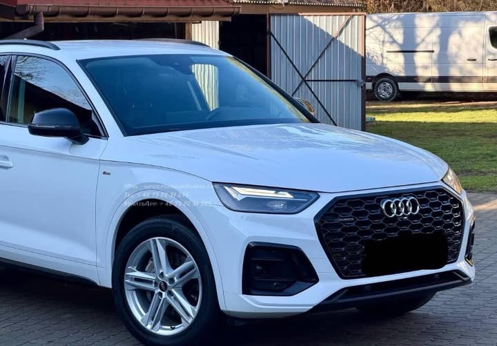 FB_IMG_1764142546993