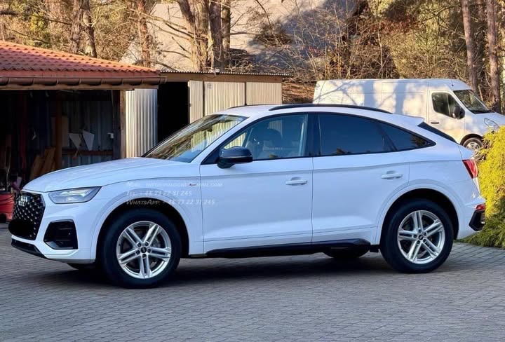 FB_IMG_1764142549011