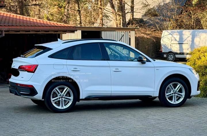 FB_IMG_1764142550950