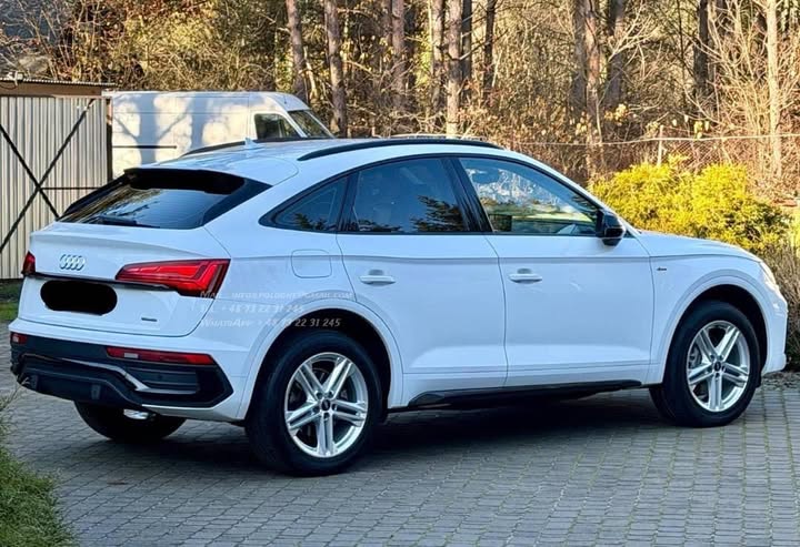 FB_IMG_1764142552819