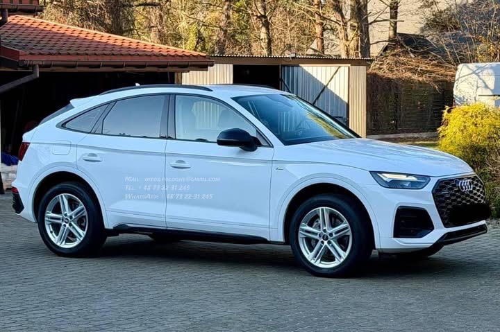 FB_IMG_1764142559022