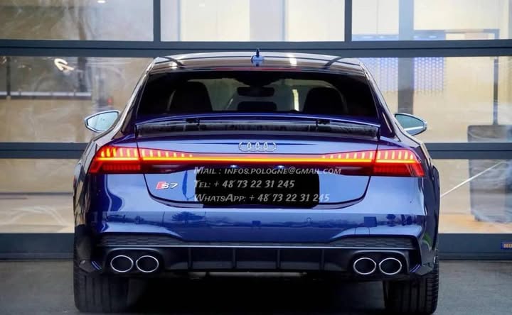 FB_IMG_1764144241559